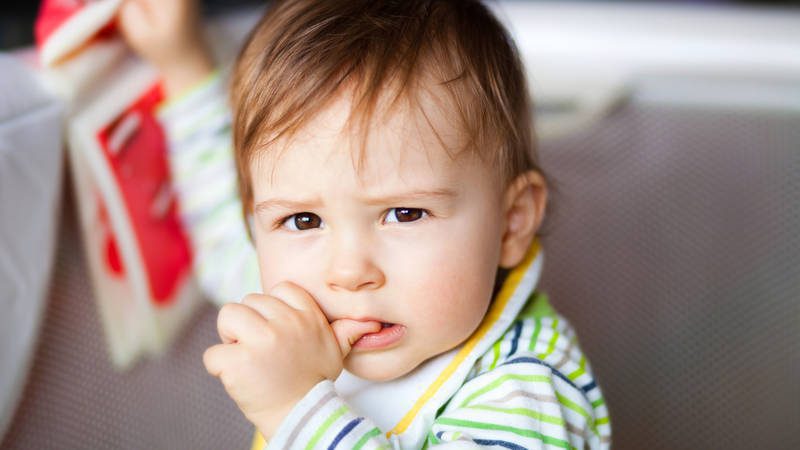 O que fazer quando o meu filho morde? - Pé Descalço by Tania Silva